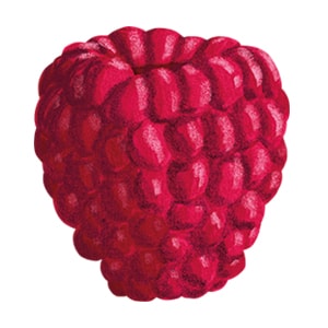 Raspberries