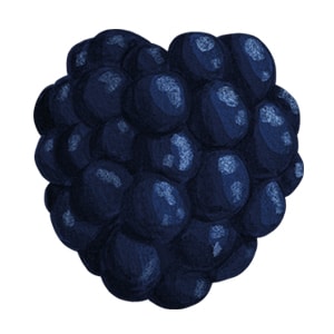 Moras