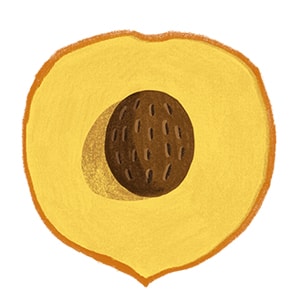 Nectarinas Nectarinas