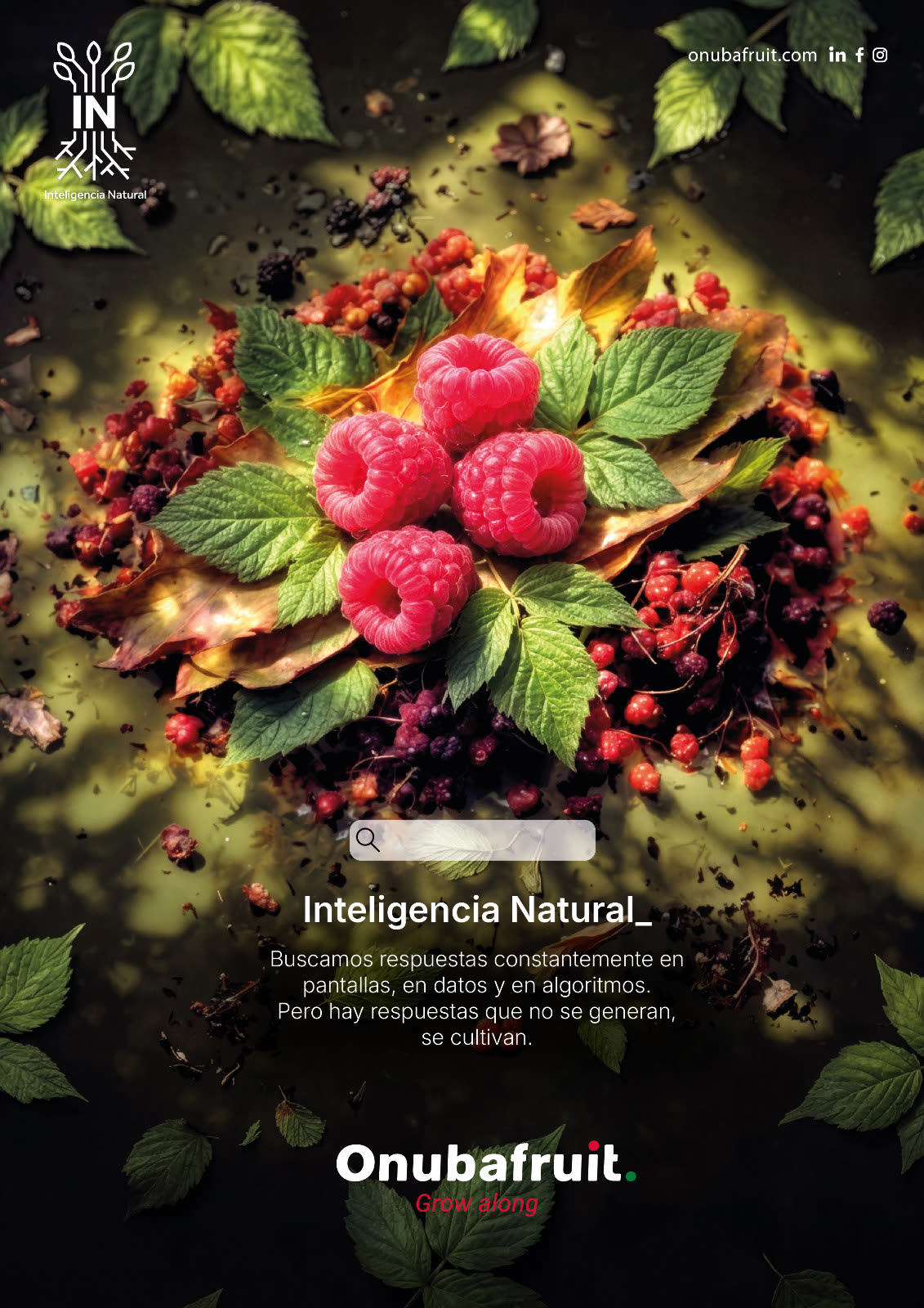 Onubafruit Inteligencia Natural, frambuesa