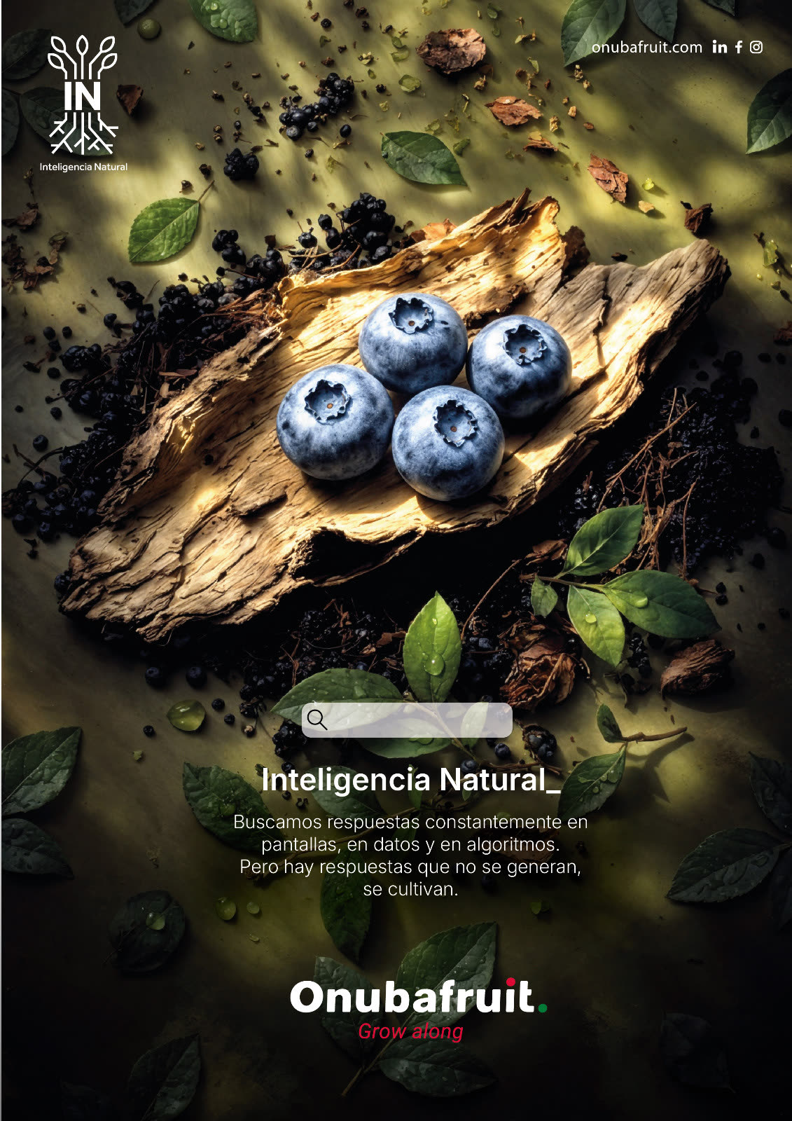 Onubafruit Inteligencia Natural, arándano